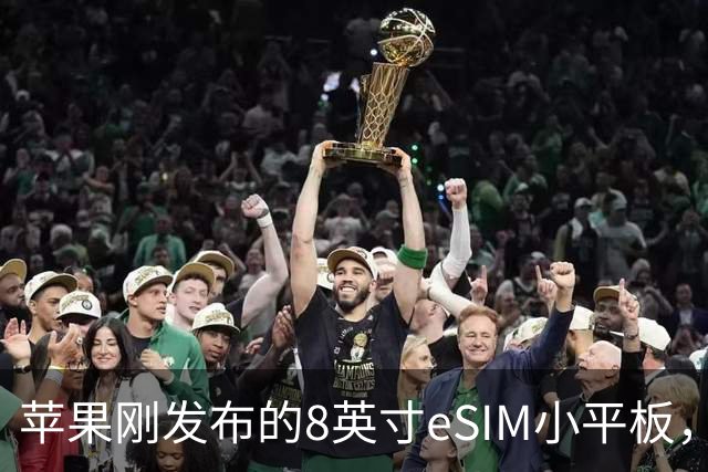 苹果刚发布的8英寸eSIM小平板，这价格是疯了吧
